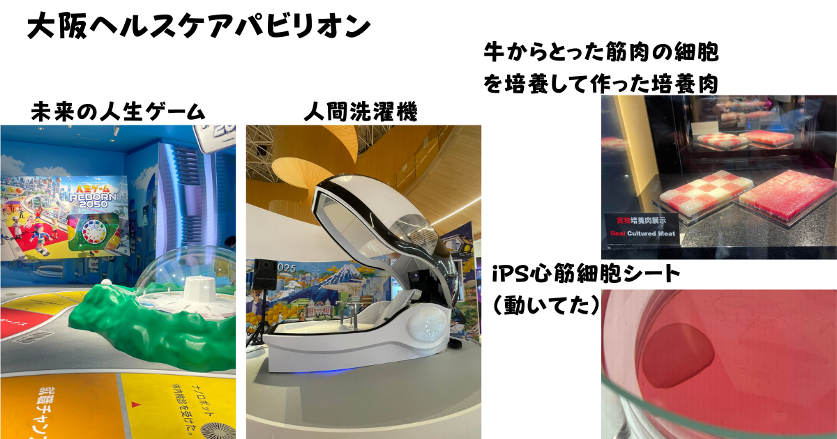 大阪万博人気パビリオン「大阪ヘルスケアパビリオン」で体験した写真